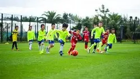 乐竞体育 资讯 135436 rdd