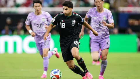2026世界杯赛事分析：非洲亚洲，五大亮点